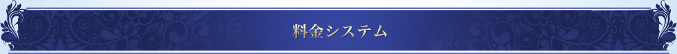 料金システム